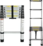Image of PTEROMYS Telescoping Ladder telescopic ladder