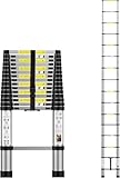Image of SPDJUMPER  telescopic ladder