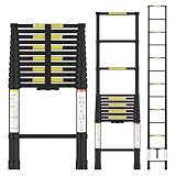 Image of ADVWIN telescopic ladder