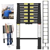 Image of ADVWIN telescopic ladder