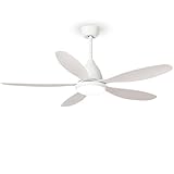 Bild von FENGYUN ELE 52 in Ceiling Fans Deckenventilator