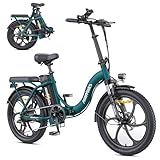 Bild von HillMiles MilePort 1 E-Bike