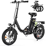 Bild von Finbike U4 E-Bike