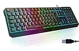 Bild von KLIM KLIM Chroma Gaming Tastatur