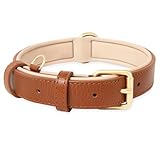 Bild von HEELE Collier Chien Hundehalsband