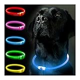 Bild von SerDa-Run Dog Collar Hundehalsband