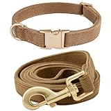 Bild von YUDOTE YDCODST01-BW-S Hundehalsband