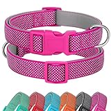 Bild von Didog SBC050RO-S Hundehalsband