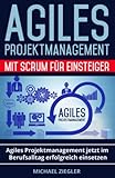 Bild von Independently published  SAP Projektmanagement Buch