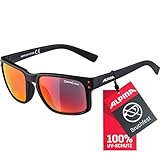 Bild von ALPINA A8570335 Sonnenbrille