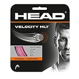 Bild von HEAD 281404_16PK Tennissaite