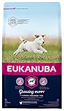 Bild von Eukanuba Puppy Small Dog Food 3KG Welpenfutter