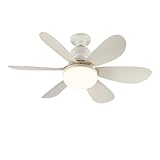 imagen de wonderlamp W-V000115 ventilador de techo