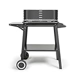 Image de Livoo DOC328 barbecue