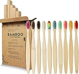 Image de GeekerChip Tool-TBrush-Bam-10Pack-gc brosse à dents