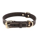 Image de ELEPRUC ZYY/GXQ/1pcs collier pour chien