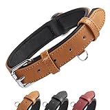 Image de Grand Line Leather Dog Collar collier pour chien