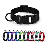 Image de AUDWUD AWD-COLLAR-Obsidian black-S collier pour chien