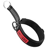 Image de OneTigris  collier pour chien