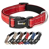 Image de lionto HB20014 collier pour chien