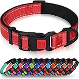 Image de TAGLORY DC062 collier pour chien