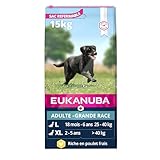 Image de Eukanuba Chicken 15KG croquette pour chien