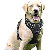 Image de rabbitgoo DTCW006L harnais pour chien