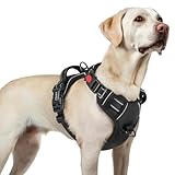 Image de rabbitgoo DGBDSCKK01LBK23CW-EU harnais pour chien