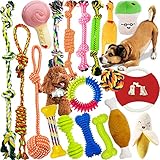Image de MAISITOO  jouet pour chien