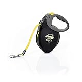 Image de FLEXI 4000498023808 laisse pour chien