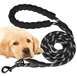 Image de PARENCE 45654 laisse pour chien
