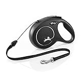 Image de FLEXI 4000498022825 laisse pour chien