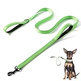 Image de Peysaitr GKDEZX-231 laisse pour chien