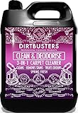 Image de Dirtbusters DB-000101 nettoyant moquette