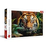 Image de Trefl 10798 puzzle classique