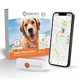 Image de Weenect WE006 traceur GPS pour chien