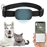Image de Générique  traceur GPS pour chien