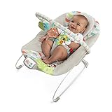 Image de Baby Einstein 11508 transat bébé