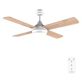 Image de Cecotec 05996 ventilateur de plafond
