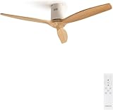 Image de CREATE 62301_134701 ventilateur de plafond