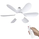 Image de SWBSLL J043 ventilateur de plafond