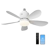 Image de Sanweyter DS001 ventilateur de plafond
