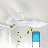 Image de Dibaful ventilateur de plafond