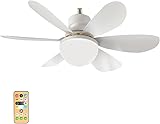 Image de beseloa XS01 ventilateur de plafond