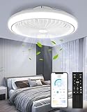 Image de Sararoom ventilateur de plafond
