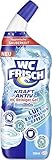 Image of WC-Frisch W7CLO bathroom cleaner