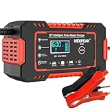 Image of NEXPEAK NC101 battery charger