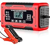 Image of DSGKUU FX6AR battery charger