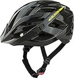 Image of ALPINA A9724333 bike helmet