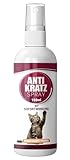 Image of Nature Animal ... cat repellent